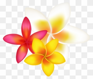 Ftestickers Sticker - Tropical Flower Clipart Png Transparent Png