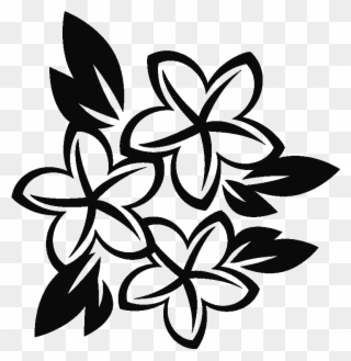 plumeria png clipart 2907888 pinclipart plumeria png clipart 2907888