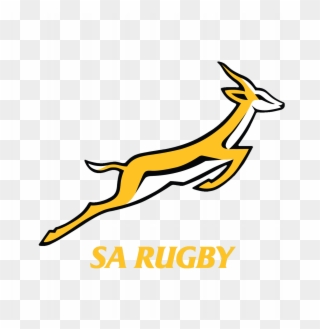 Logo Rug Horizontale Variant Voorkeursvariant Logo - Springbok Rugby ...