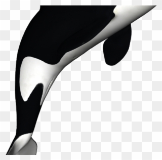 Orca Clipart Svg - Orca Whale Black And White - Png Download