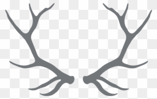 Clipart Free Download Antlers Transparent Black And - Harry Potter Deer Always - Png Download