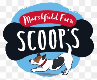 We're Proud To Offer A New Range Of Point Of Sale For - Scoops Dog Ice Cream Clipart