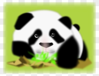 Free Panda - Panda Clip Art - Png Download