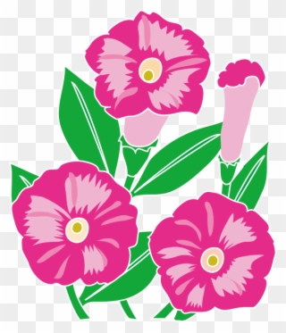 夏の花3 17 ペチュニアイラスト Flower Art, Art Flowers, Clip - ペチュニア イラスト 無料 - Png Download