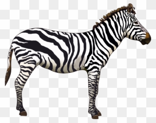 Which Animals Can You Name - Zebra Clipart