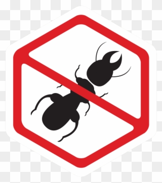 Residential Pest Control Service - Ant Exterminator Clipart - Png Download