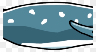 Humpback Whale Clipart Scribblenauts - Beaked Whale - Png Download