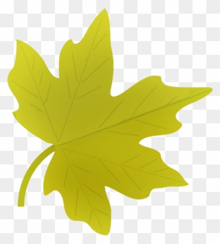 Maple Leaf Clipart - Autumn Leaves Clipart Png Transparent Png
