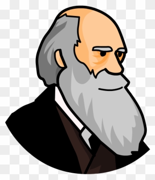 Search Results - Evolution Real Clipart