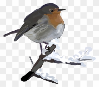 European Robin American Robin Clip Art Christmas - Snowy Birds Clip Art - Png Download