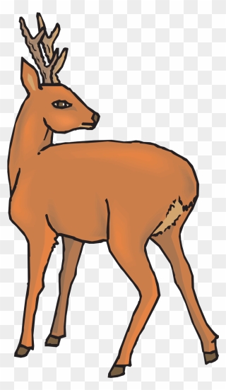 Deer Clip Art - Daini Png Trasparente Transparent Png