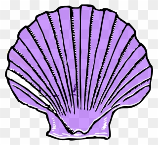 Purple Shell At Vector Online - Shell Clipart Black And White - Png Download
