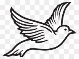 Dove Clipart Roman Catholic - Pigeons And Doves - Png Download