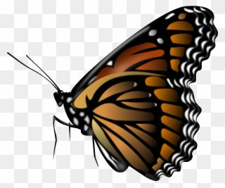 Monarch Butterfly Clipart Powerpoint Presentation - Butterfly Png Transparent Png