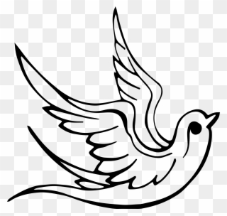 Dove Line Art - Symbols Are Associated With Pentecost Clipart
