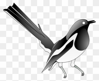 Magpie, Songbird, Bird, Song, Melody, Singing Bird - Oriental Magpie Robin Png Clipart