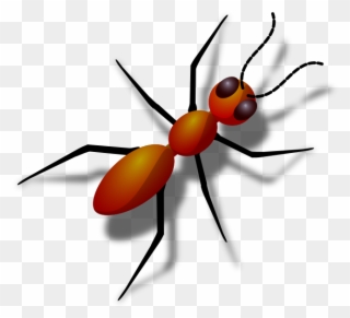 Ant Clip Art Clipart Free Clipart Microsoft Clipart - Custom Fire Ant Journal - Png Download