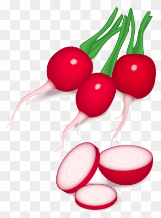 Radishes Clipart - Png Download