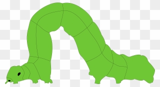 Inchworm Clipart - Png Download