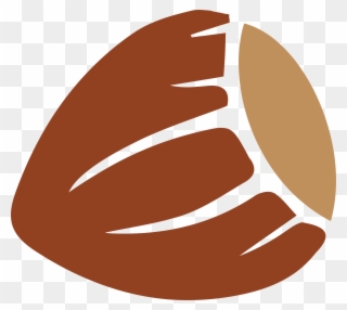 All Photo Png Clipart - Hazelnut Png Transparent Png