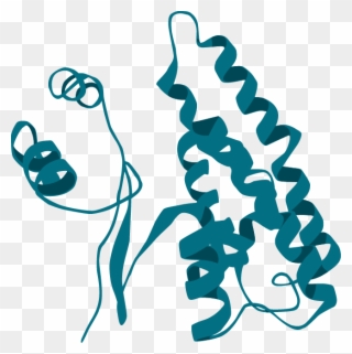 Protein Biomarkers - Illustration Clipart