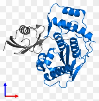 <div Class='caption-body'>pdb Entry 1euv Contains 1 Clipart