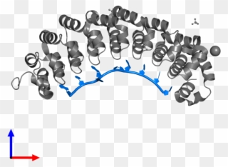 <div Class='caption-body'>pdb Entry 3bx2 Contains 1 - Barbell Clipart
