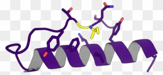 Protein Design With Rosetta - Protein Design Clipart