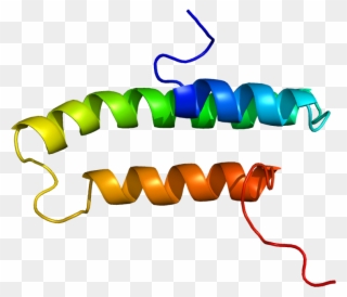 Lrpap1 Protein Structure Clipart
