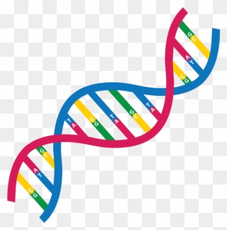 Do You Wanna Know More About Genome Assembly So, Take - Dna Clipart