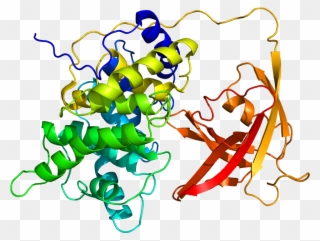 Protein Gif Pdb 2ckt - Factor Intrinseco De Castle Clipart