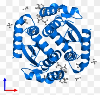 <div Class='caption-body'>pdb Entry 5hrp Contains 2 - Graphic Design Clipart