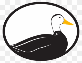 Bahamas Clipart Duck - Logo - Png Download