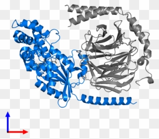 <div Class='caption-body'>pdb Entry 5kdo Contains 1 - Illustration Clipart