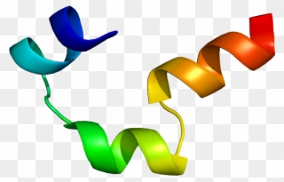 Protein Cckbr Pdb 1l4t - Cholecystokinin B Receptor Clipart