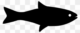 How To Draw A Fish - Fish Black Clipart