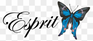 Esprit Gala - Butterfly Stainless Steel Travel Mug Clipart