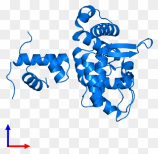 <div Class='caption-body'>pdb Entry 5dcf Contains 1 - Illustration Clipart