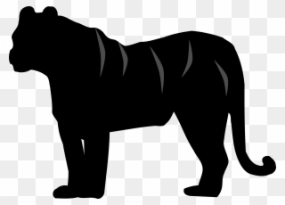 White Tiger Felidae Silhouette Cat - Tiger Silhouette Clipart - Png Download
