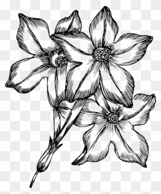Gravestone Clipart Flower Drawing - Hand Drawn Flowers Png Transparent Png