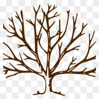 Fall Clipart Bare Fall Tree - Winter Trees To Draw - Png Download