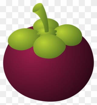 Mangosteen Printout Orange Fruit, Fruit Clipart, Clip - Mangosteen Png Transparent Png