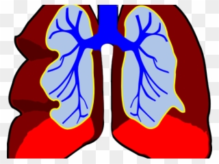 Sick Clipart Lung - Lungs Clip Art - Png Download