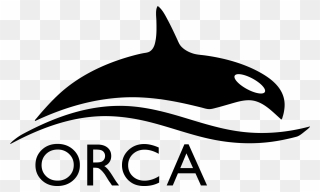 Orca Clip Art - Orca Program - Png Download