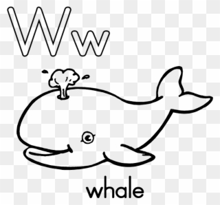 Whale Shark Clipart Paus - Alphabet Coloring Pages W - Png Download