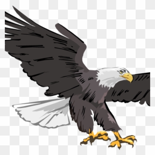 Free Clipart Of Eagles Free Clipart Of Eagles Free - Cafepress Eagle Throw Pillow - Png Download