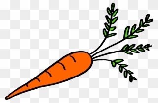Picture Free Stock Is It A Vegetable - Vegetables That Grow Underground Roots Clipart