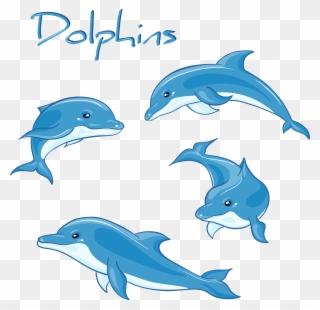 Biology Drawing Decoration - Dolphins Cartoon Clipart