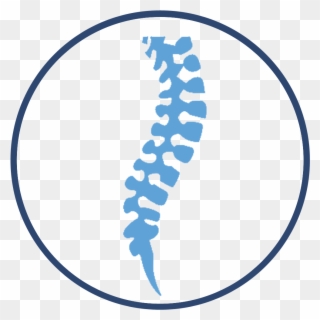 Spine Center - Officite Chiropractic Practice Clipart