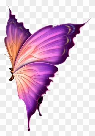 Фото, Автор Ya - Transparent Purple Butterfly Hd Clipart